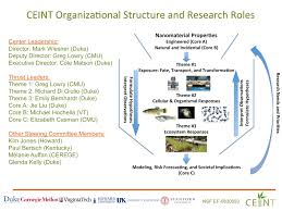 1 Ceint Organizational Structure And Research Roles