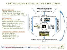 1 ceint organizational structure and research roles