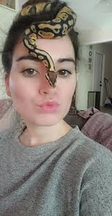 Where to find live feeder rats for ball python in Brevard?