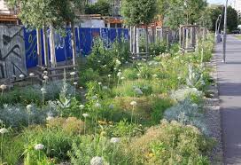 Buro Christian Meyer Plant Design Park Perennials