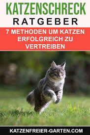 Katzen können aus dem garten vertrieben werden. Katze Aus Dem Garten Vertreiben In 2020 Katzen Schreck Vertreiben