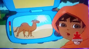 Go, diego, go! teaches several other topics as well. I Never Heard About A Camel Living In The Rainforest Youtube