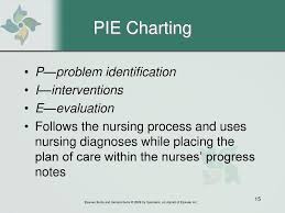 Documentation Of Nursing Care Ppt Download