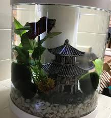 Happy Beta Betta Aquarium Fish Tank Plants Betta