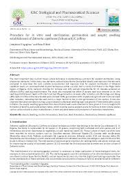 Image result for Zehneria capillacea