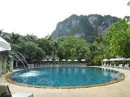 Koh Tao S Most Experienced Padi Course Director Matt Bolton Welcomes You To The Beautiful Island Of Koh Tao The Centre Of Thailand S Scuba Diving Industry And