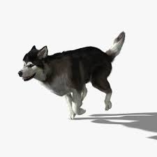 Pin On 3d Animals