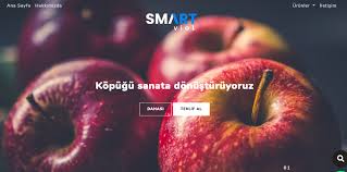 Https Www Smartviol Com Elma Viyolu Yuva Viyol Kopuk Tabak 2020 Gercekler Teklif Egitim