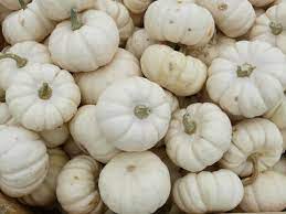 She is also one of jesse's archenemies. White Pumpkins Are They Edible New Life On A Homestead