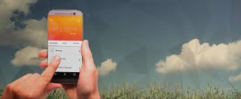 DÚVIDAS SOBRE A CELCOIN COMO FUNCIONA E COMO SE CADASTRAR 🐫 Explore o  universo das apostas com Black Jaxk.