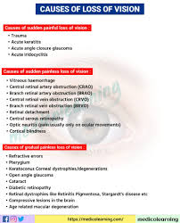 Image result for Acute Vision Loss