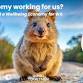 Is our economy working for us? Diversification and event image