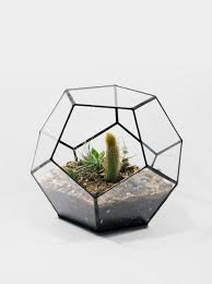 20 Impressive Terrarium Designs For Your Home Decoration Matchness Com Geometric Terrarium Succulent Terrarium Terrarium