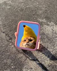 8 754 Likes 290 Comments Saatchi Gallery Saatchi Gallery On Instagram Celebrate Nationalcatday With Californ Cute Animals Animals Kittens