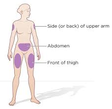 We did not find results for: Subcutaneous Injection Definition And Patient Education