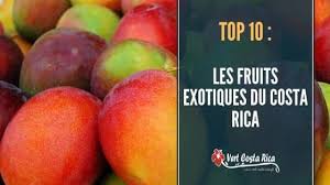 Fruit Du Costa Rica Decouvrez 10 Fruits Qui Eveilleront Vos Papilles