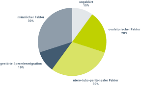 Wann du bei einem unerfüllten kinderwunsch zum arzt gehen solltest und wie du den richtigen findest, erfährst du hier. Unerfullter Kinderwunsch Uberblick