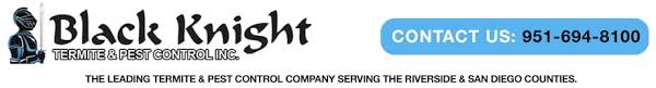 There are more than 700 ant species found in the u.s., although only about 25 species commonly infest homes. Menifee Pest And Termite Control Black Knight Pest Control