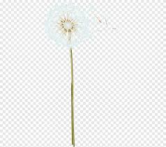 The best selection of royalty free cartoon flower pattern vector art, graphics and stock illustrations. Floral Design Cut Flowers Pattern Cartoon Dandelion Cartoon Character Flower Arranging Png Pngegg