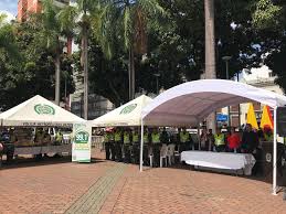Accede a todos los contenidos de los programas de pereira y escucha la radio en directo. Jornada De Entrega De Armas En Pereira Periodico El Eje