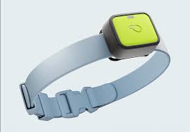 The Ultimate Buying Guide for Digital Pet Activity Monitors