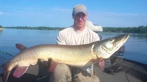 Our lures for musky fishing feature the most vibrant and attractive colors, reflections, and shapes. Canadian Muskie Fishing Best Fishing In Ontario Canada