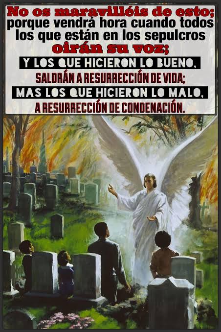 ESCRITO ESTÁ: S. Juan 5:28-29 28 No os maravilléis de esto; porque vendrá  hora cuando todos los que están en los sepulcros oirán su voz; 29 y los que  hicieron lo bueno,