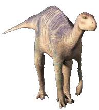 A film by eric leighton & ralph. Neera Dinosaur Wiki Fandom