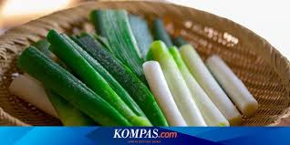 Cara ini bisa anda terapkan di mana saja. Cara Mudah Menanam Daun Bawang Sisa Dapur Dengan Air