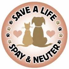 We did not find results for: Animal Spay Neuter Stickers Decals Bumper Stickers