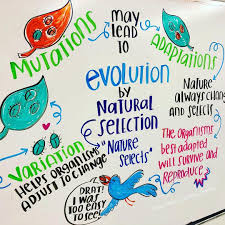 Rachael M Ed On Instagram Natural Selection Can Be Difficult For Students To Grasp Visuals Teaching Biology High School Biology Classroom Biology Classroom