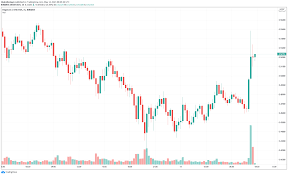 The reason for his interest and closeness to the meme token is yet to be ascertained, but his continuous endorsement of the token through his twitter handle speaks volumes. Elon Musk Asks Twitter Whether Tesla Should Accept Dogecoin For Cars Plato Blockchain