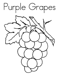 You can choose more coloring pages from beginner color by number. Purple Grapes Free Print And Color Online
