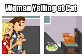 Flipline Studios Woman Yelling At Cat Woman Yelling At A Cat Cats Catwoman Yelling