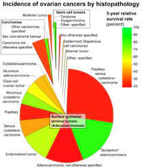 Due to the widely misunderstood nature of cancer, cancer misdiagnosis is among the most common type of medical misdiagnosis. Ovarian Cancer Wikipedia