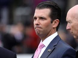 Foxs.pt/nascaronfoxinstagram about nascar on fox: Don Jr Disappointed When Russian Lawyer Didn T Have Clinton Dirt At Trump Tower
