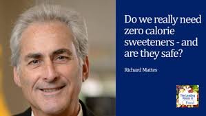 Zero Calorie Sweeteners Archives