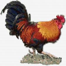 Find patterns for kids, adults, and home. Rooster 2524 Rooster Cross Stitch Cross Stitch Chicken Cross Stitch