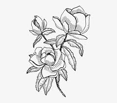 Magnolia Single Flower Illustration Transparent Png 449x640 Free Download On Nicepng Seeking for free magnolia png png images? magnolia single flower illustration