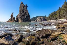 Olympic national park rv campgrounds. Olympic National Park S Mora Campground Now Accepting Online Reservations For Summer