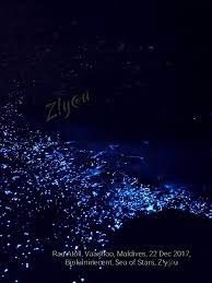 Glowing Sea Of Stars Bioluminescence Vaadhoo Island Raa Atoll Maldives Sea Of Stars Places To Go Maldives