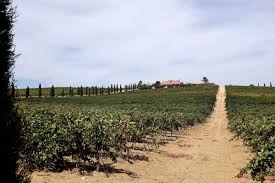 Nuestro pack luis perez tal y como indica su nombre contiene la esencia originaria de nuestra bodega, al incluir dos de los vinos iniciales con los que se puso en marcha el proyecto. Bodegas Luis Perez Jerez Andalusien 39 Gourmetgeeks