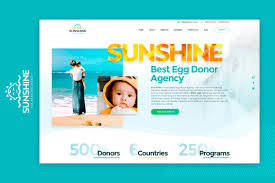 How many eggs can you donate. Egg Donor Agency Trusted By 1000 Couples Sunshine Ivf