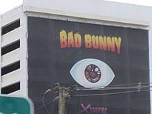 Be first to know about bad bunny merch. X 100pre Wikipedia