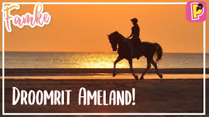 1084 x 1300 jpg pixel. Hoe Teken Je Een Paard Winactie Fenna Pennytv Youtube