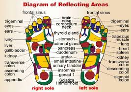 Diagram Of Foot Reflecting Areas Reflexology Foot