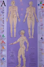 acupressure chart points meridians michael reed gach