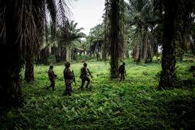 Stream tracks and playlists from waleed on your desktop or mobile device. Isis After Laying Groundwork Gains Toehold In Congo The New York Times