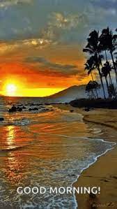 Nature early morning good morning sunrise gif. Sunrise Gifs Tenor