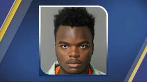 8 arrested in string of shootings near downtown Raleigh